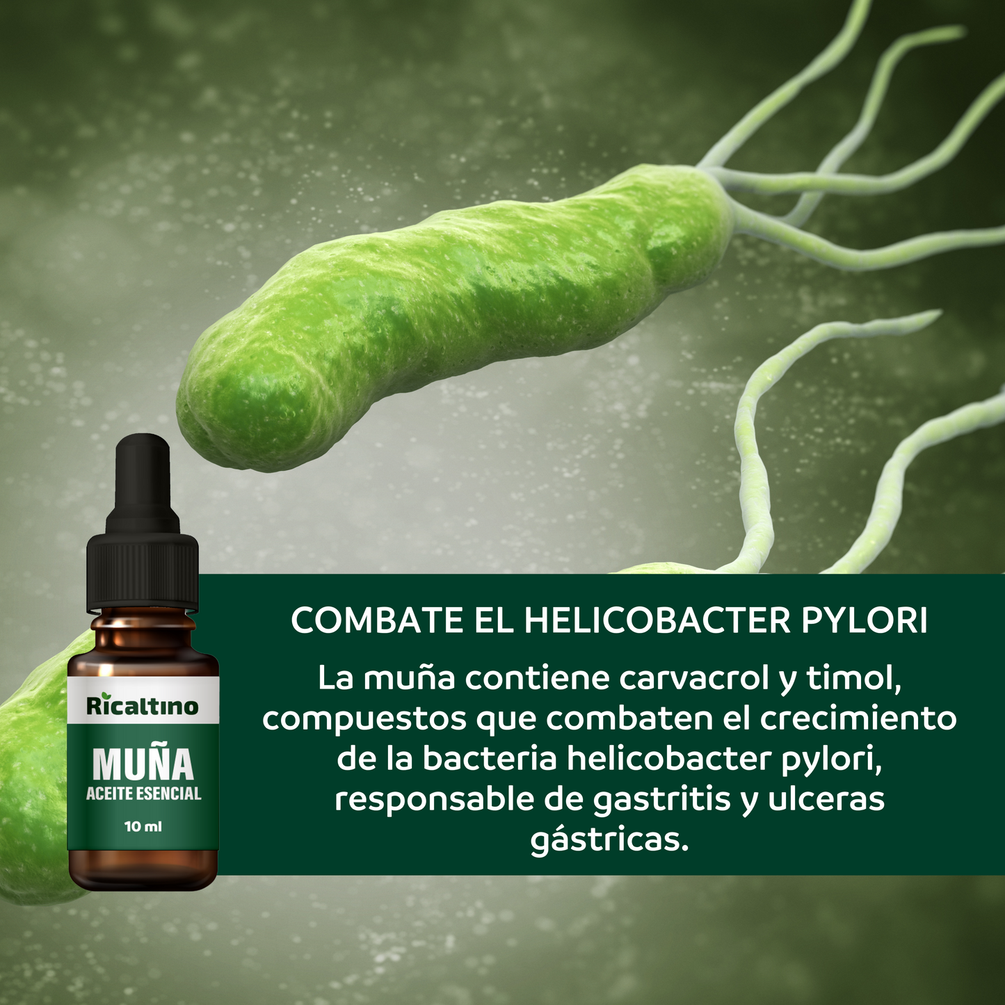 Aceite Esencial de Muña Ricaltino 10ml (100% puro)