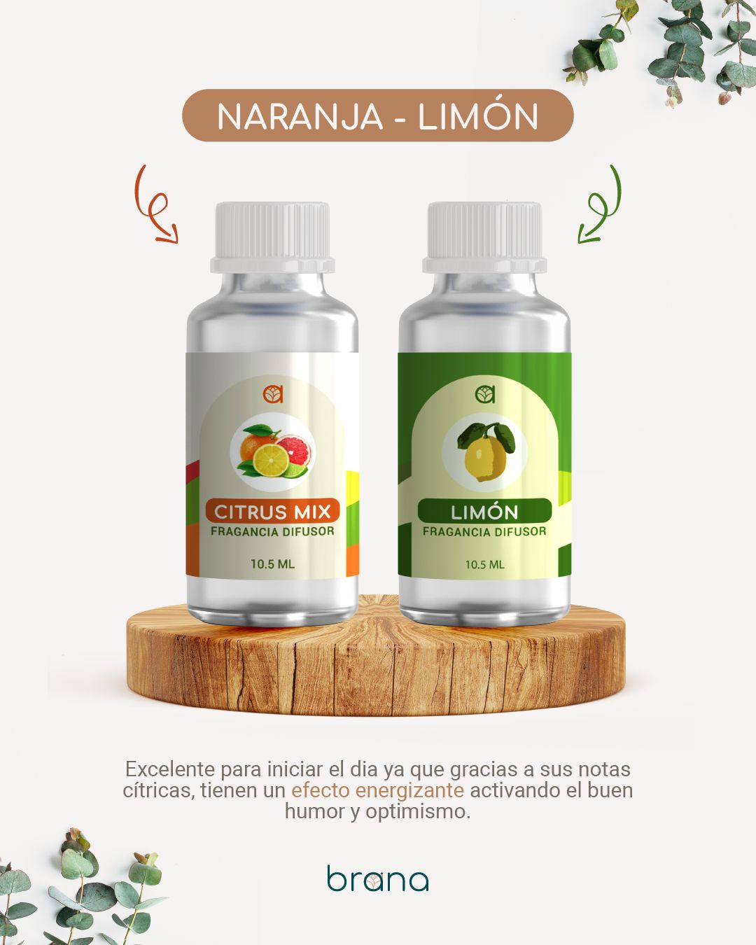 Fragancias para difusor Brana 30 ml - Aromas variados