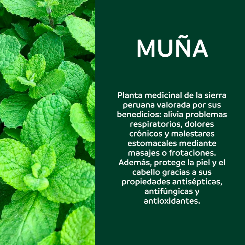 Aceite Esencial de Muña Ricaltino 10ml (100% puro)