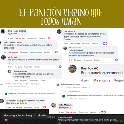 Panetón Vegano sin Azúcar Añadida con Sacha Inchi, Multisemillas y Miel de Cabuya 750 g